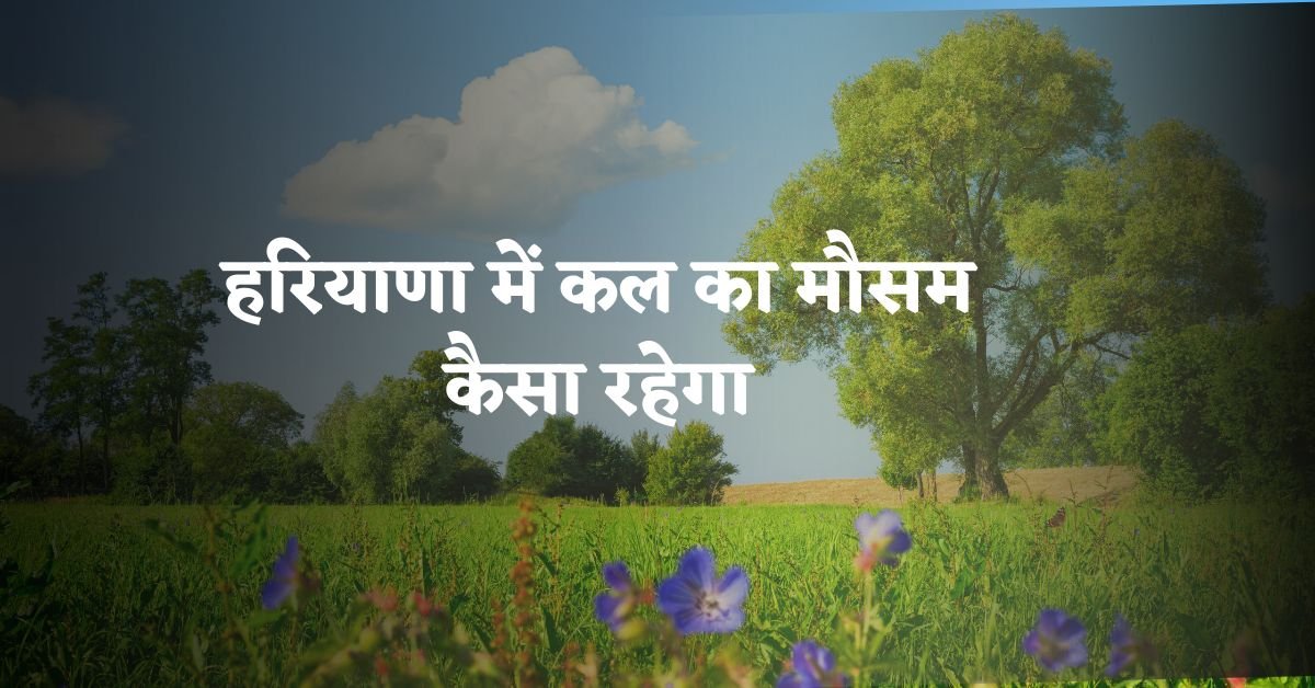 हरियाणा में कल का मौसम कैसा रहेगा - Haryana Me Kal Ka Mausam